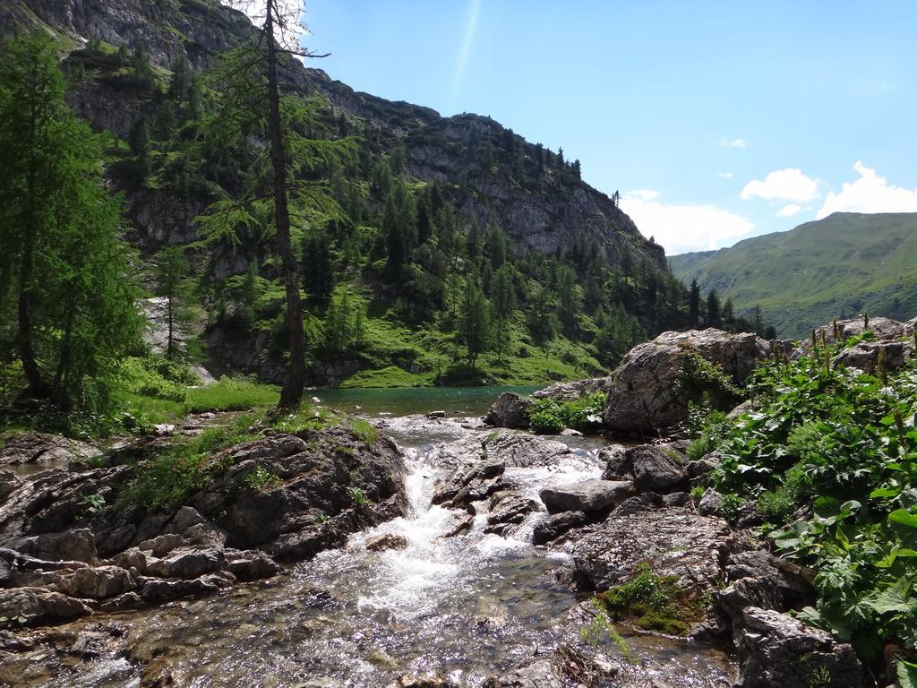 Ausserraingut Flachau Dış mekan fotoğraf