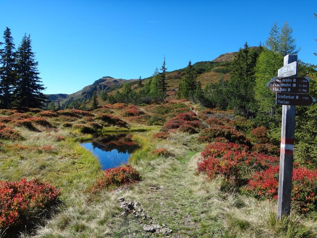 Ausserraingut Flachau Dış mekan fotoğraf