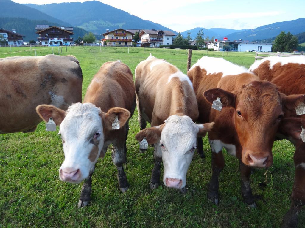 Ausserraingut Flachau Dış mekan fotoğraf