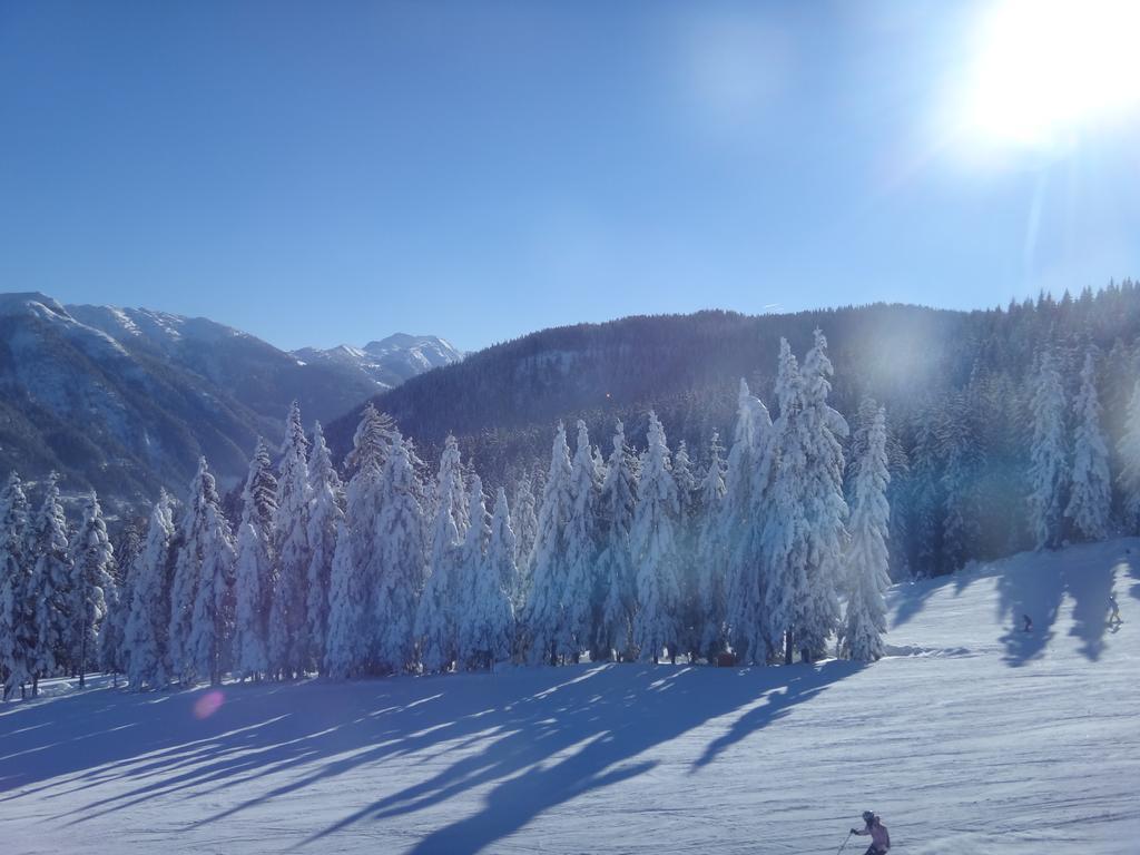 Ausserraingut Flachau Dış mekan fotoğraf
